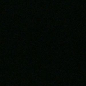 Meet your Posher, Lily